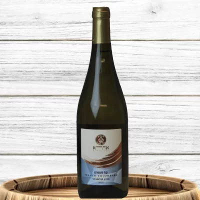 KOL-PAAMONIM-scaled (1)