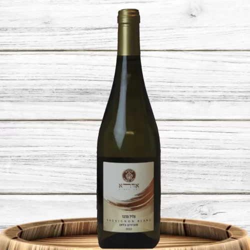 TZLIL-MIDBAR-scaled (1)