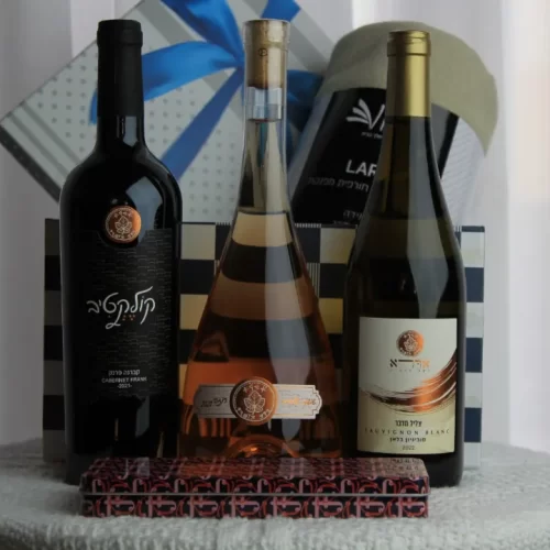 WhatsApp-Image-2024-04-10-at-11.46.57