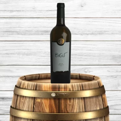 לוטוס-2023-scaled (1)