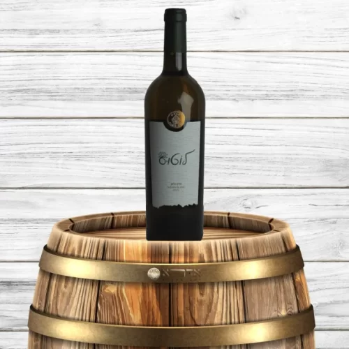 לוטוס-2023-scaled (1)