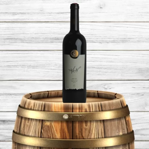 מאדרי-2018-scaled